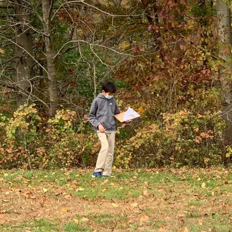 Science Fish Spawning Study Grade 56 Spanish