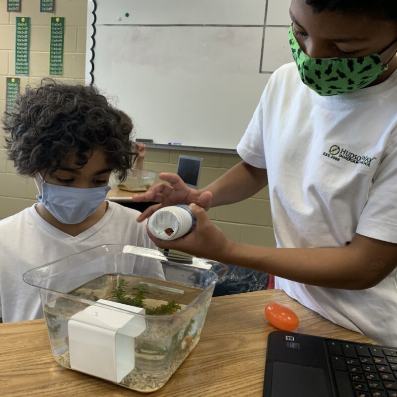 science project for grade 3 students