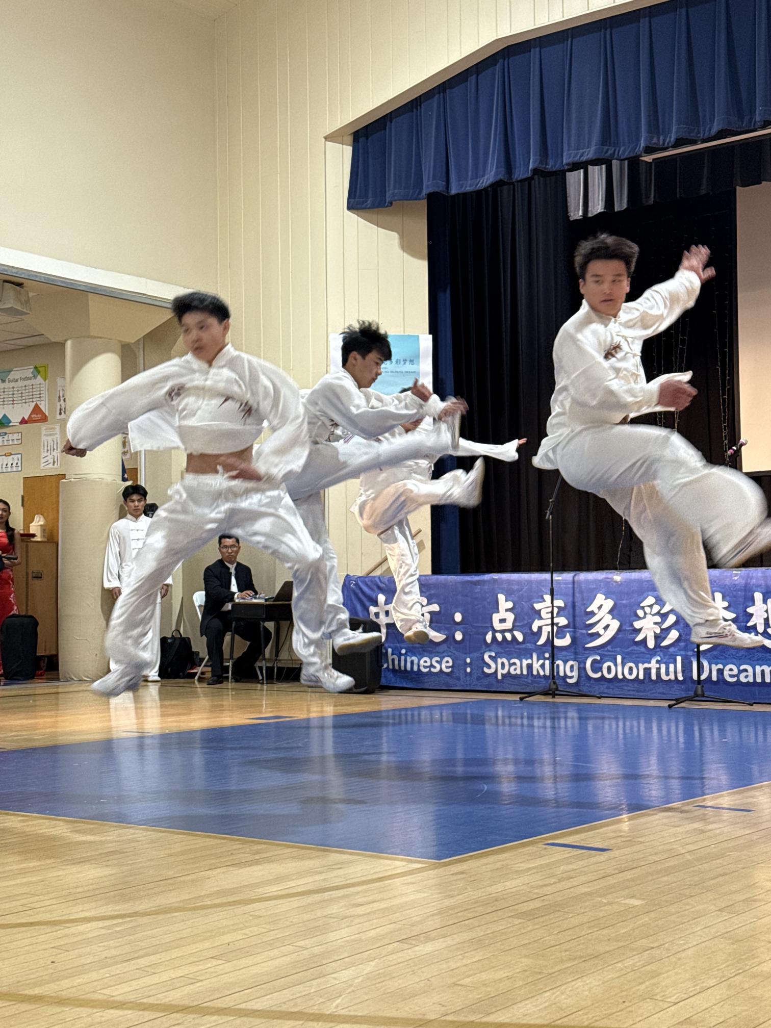 Chinese Language Day